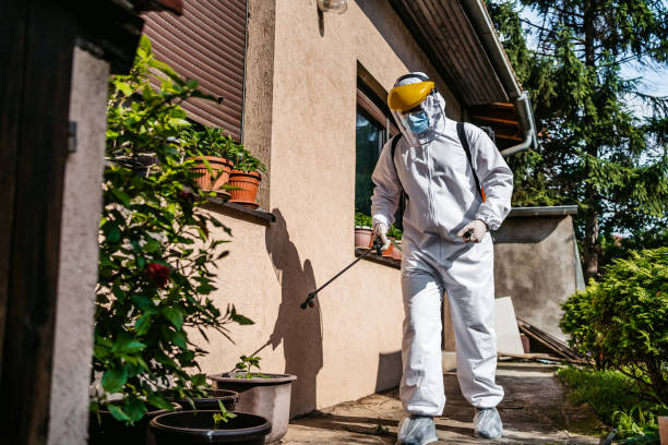 Best Wasp Removal Services  in Stepney, CT