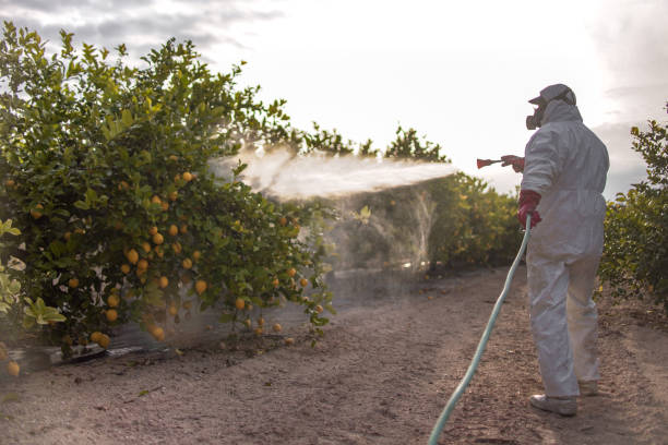 Best Exterminator Services  in Stepney, CT