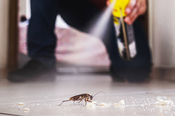 Best Commercial Pest Control Services  in Stepney, CT