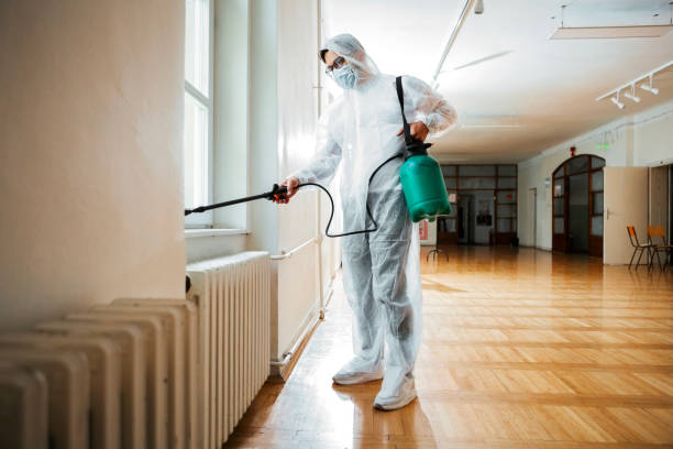 Best Best Pest Control Companies  in Stepney, CT