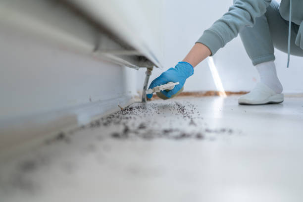 Best Best Pest Control Companies  in Stepney, CT